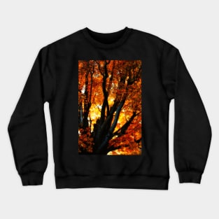 Autumn Elegy Crewneck Sweatshirt